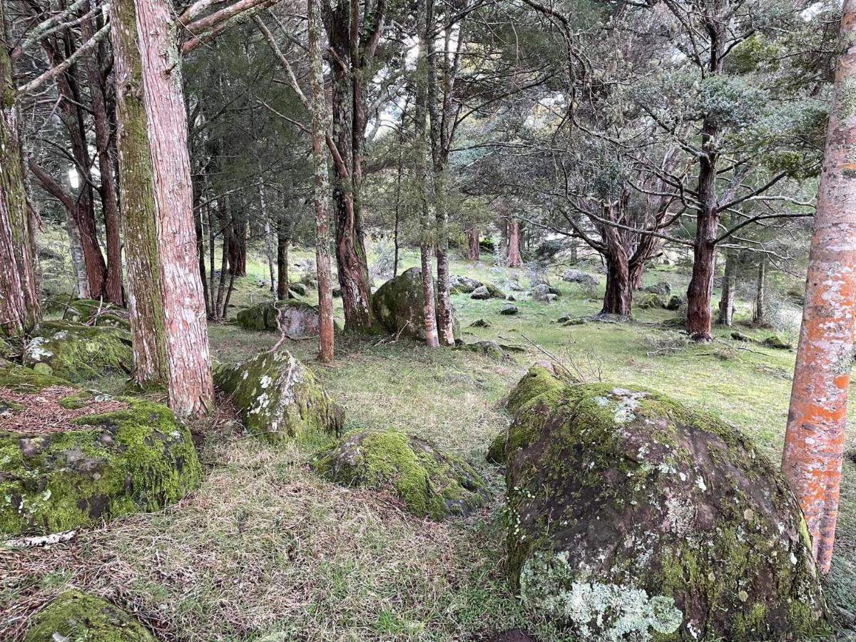 St Karas Cottage - St Enoch And St Elijah Monastery Kaikohe Экстерьер фото